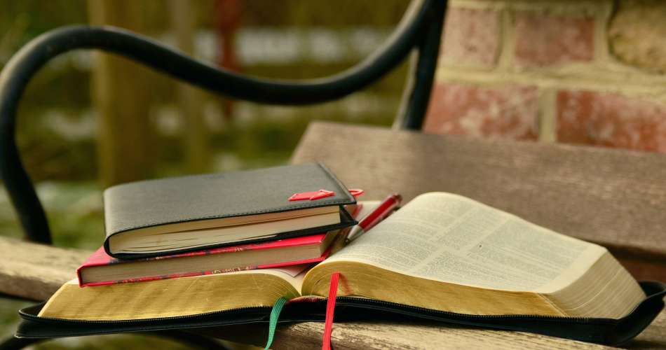 Robert Shandorf Teaching Excellence Scholarship