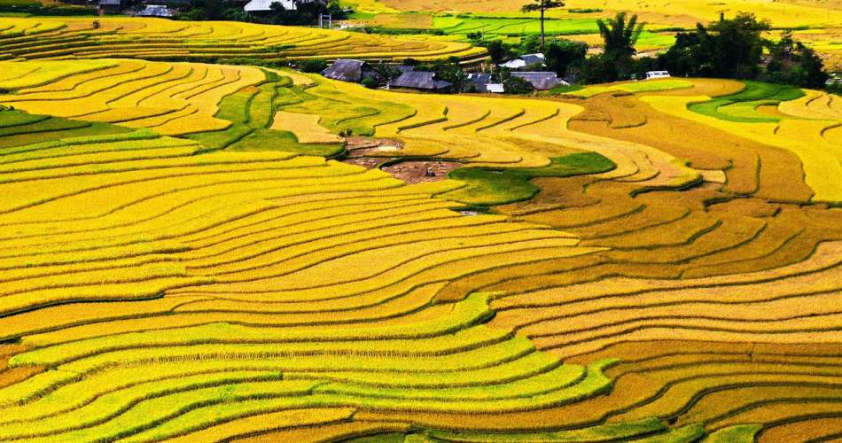 Via Lingua announces 2 new locations!