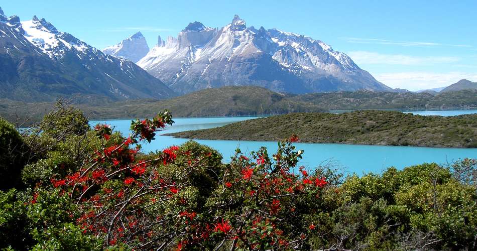 The Year of No Boundaries