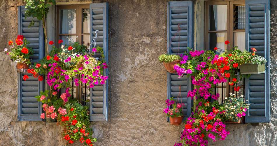 Carly's Blog: Looking Back and Ahead