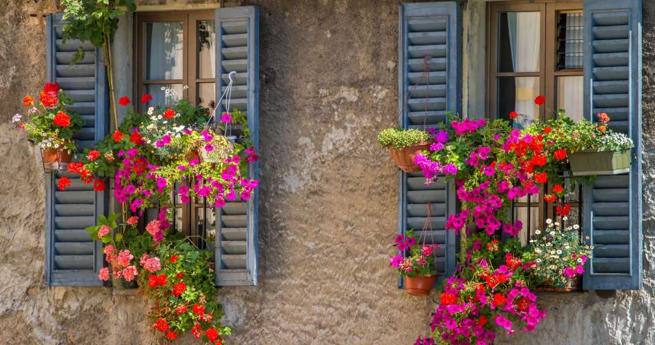 Blending training and cultural immersion...