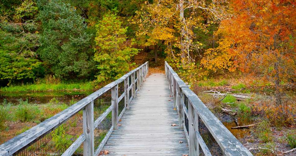 How to Make Money and Enjoy Life!