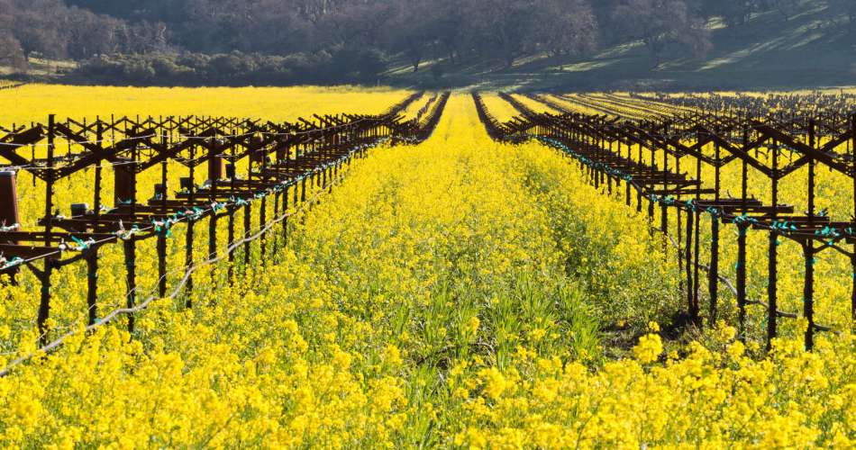 Carly's Blog: My Ideal TEFL Course